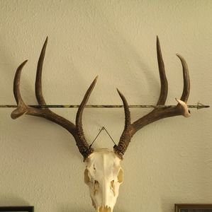 Meet your Posher, Mike